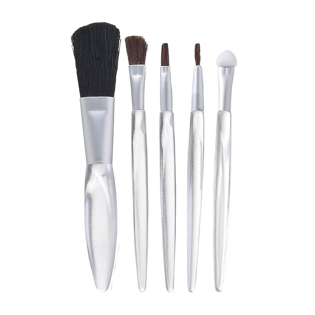 [DAM 570] SET DE BROCHAS CRYSTAL FACE