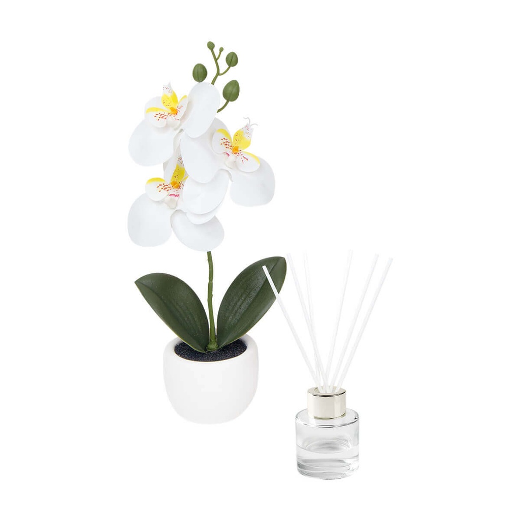 [KTC 978 B] SET DECORATIVO FIORA